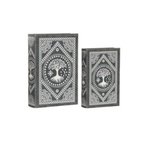 COMING SOON - Book Box Set of 2